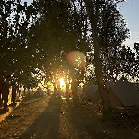 Camping Delta Natura La Tancada Amposta Ngoại thất bức ảnh