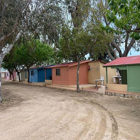 Camping Delta Natura La Tancada Amposta Ngoại thất bức ảnh