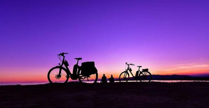 Camping Delta Natura La Tancada Amposta Ngoại thất bức ảnh