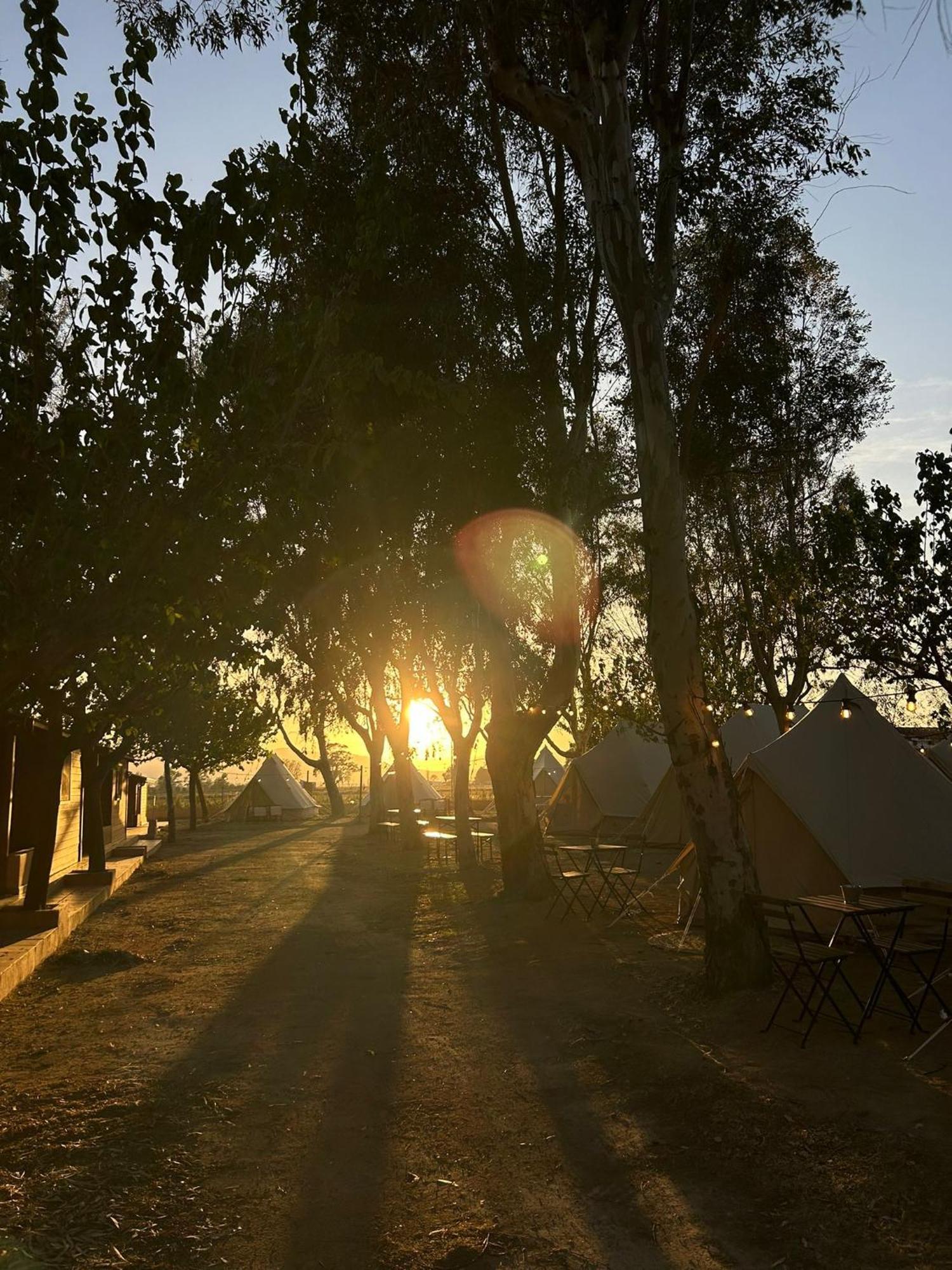 Camping Delta Natura La Tancada Amposta Ngoại thất bức ảnh